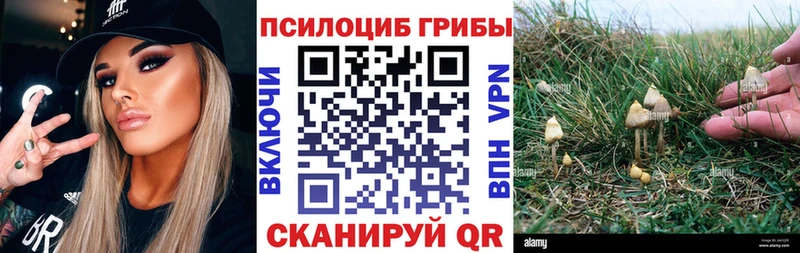 Галлюциногенные грибы Psilocybe  Мантурово 